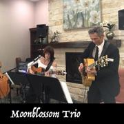 Moonblossom Trio @ Opal Divine’s Austin Grill